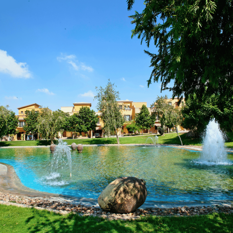 Palm Hills4